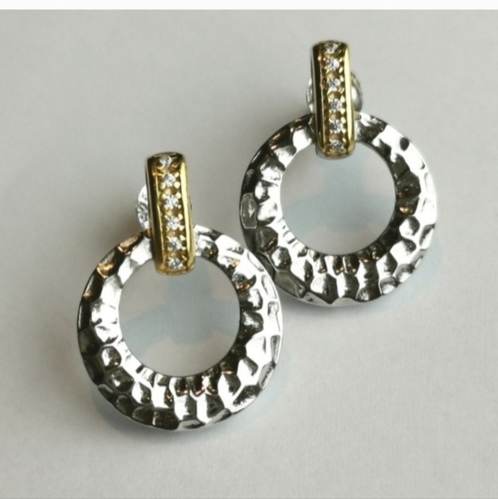 Elegant Silver and Gold Hoop Earrings